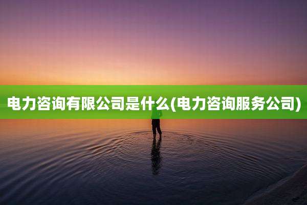 电力咨询有限公司是什么(电力咨询服务公司)
