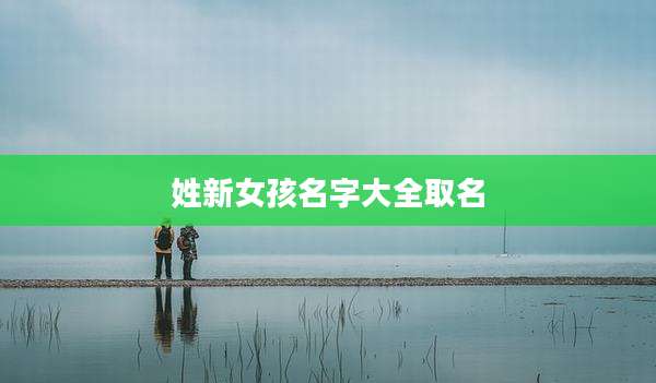 姓新女孩名字大全取名