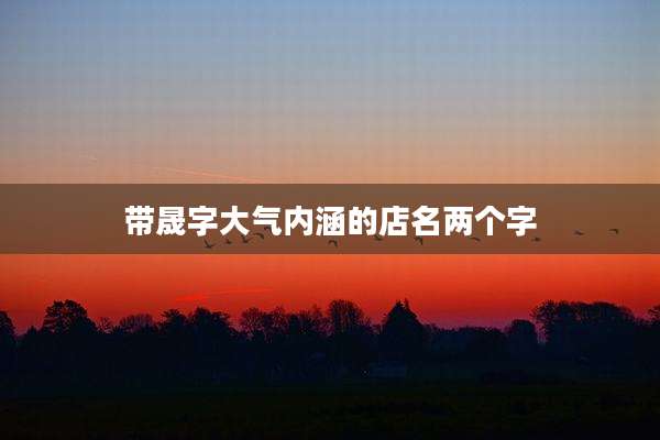 带晟字大气内涵的店名两个字