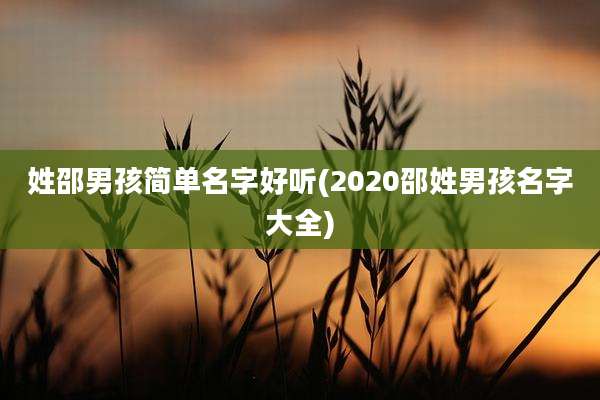 姓邵男孩简单名字好听(2020邵姓男孩名字大全)