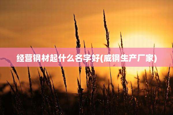 经营钢材起什么名字好(威钢生产厂家)