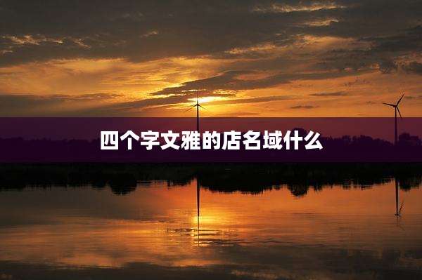 四个字文雅的店名域什么