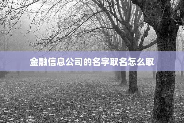 金融信息公司的名字取名怎么取