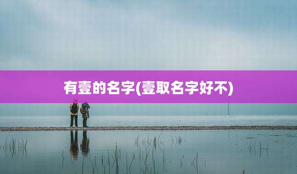 有壹的名字(壹取名字好不)