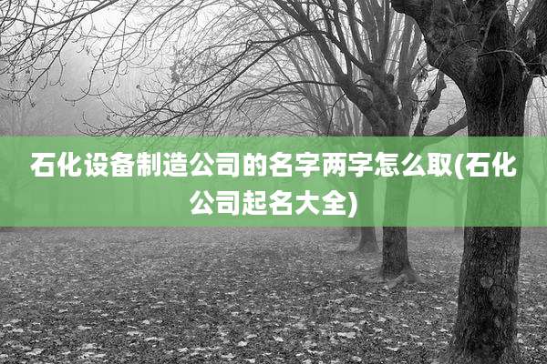 石化设备制造公司的名字两字怎么取(石化公司起名大全)
