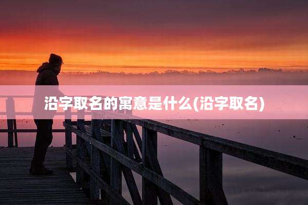 沿字取名的寓意是什么(沿字取名)