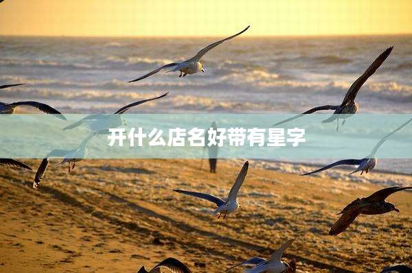 开什么店名好带有星字