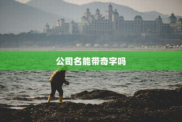 公司名能带奇字吗