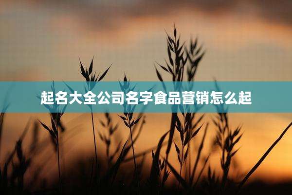 起名大全公司名字食品营销怎么起