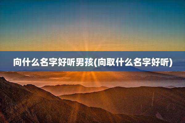 向什么名字好听男孩(向取什么名字好听)
