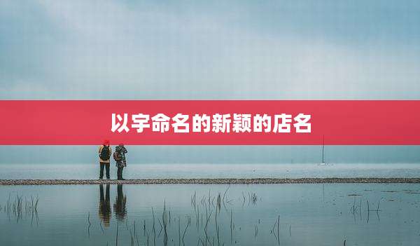 以宇命名的新颖的店名