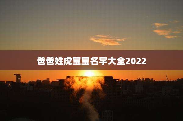爸爸姓虎宝宝名字大全2022