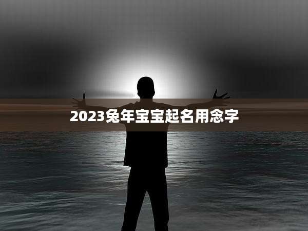 2023兔年宝宝起名用念字