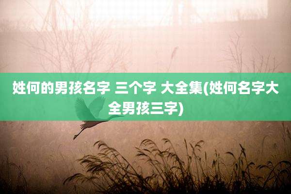 姓何的男孩名字 三个字 大全集(姓何名字大全男孩三字)