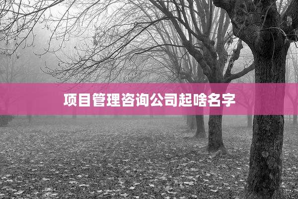 项目管理咨询公司起啥名字