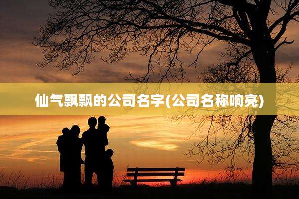 仙气飘飘的公司名字(公司名称响亮)