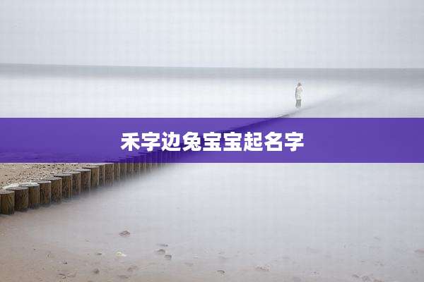 禾字边兔宝宝起名字