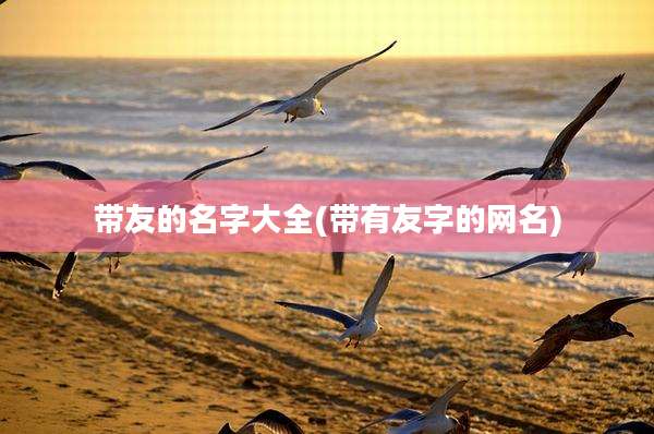 带友的名字大全(带有友字的网名)