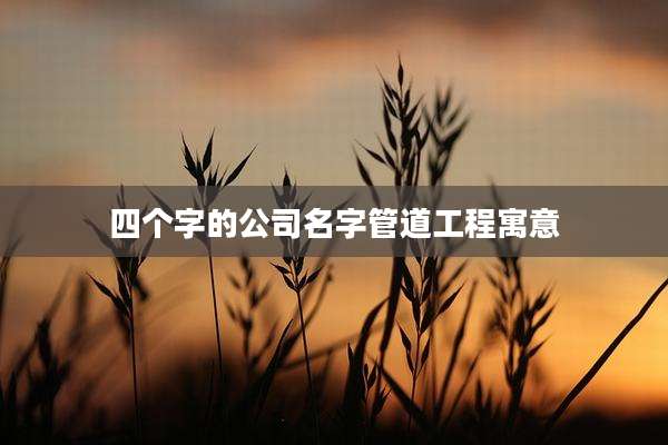 四个字的公司名字管道工程寓意