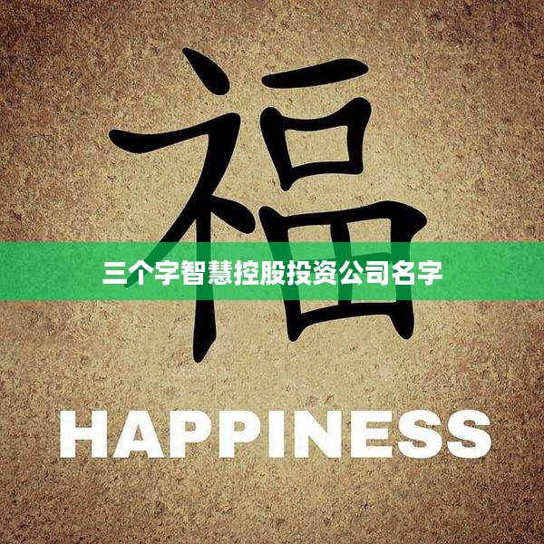 三个字智慧控股投资公司名字