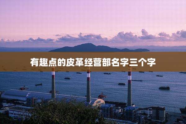 有趣点的皮革经营部名字三个字