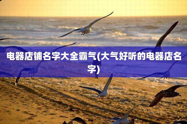 电器店铺名字大全霸气(大气好听的电器店名字)