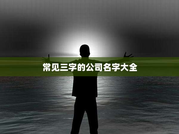 常见三字的公司名字大全