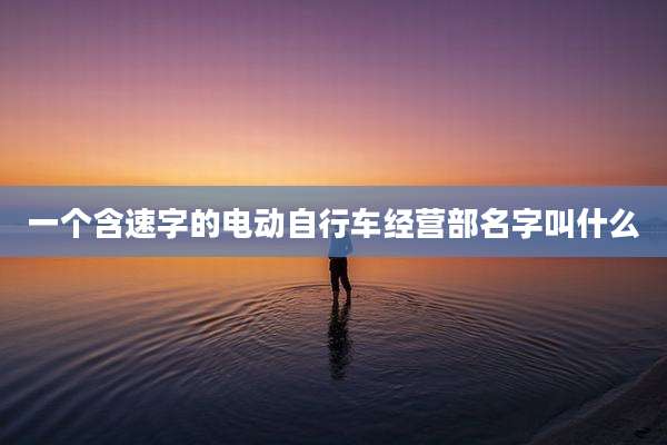 一个含速字的电动自行车经营部名字叫什么