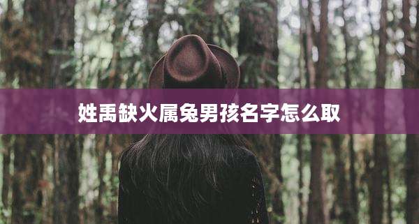 姓禹缺火属兔男孩名字怎么取