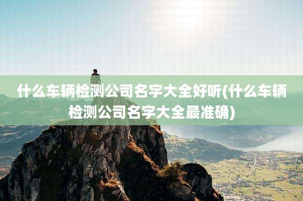 什么车辆检测公司名字大全好听(什么车辆检测公司名字大全最准确)