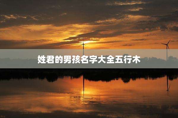 姓君的男孩名字大全五行木