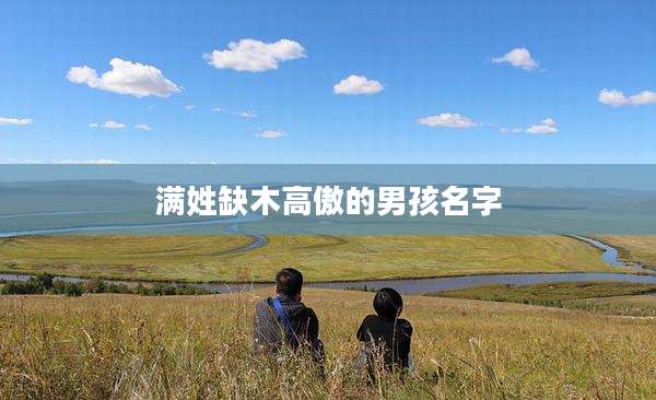 满姓缺木高傲的男孩名字