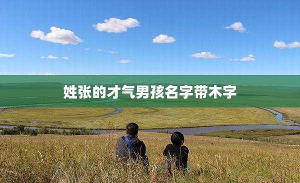 姓张的才气男孩名字带木字