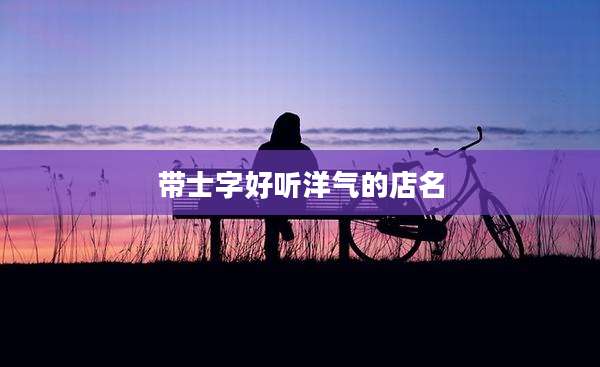 带士字好听洋气的店名