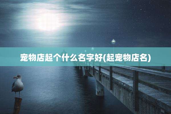 宠物店起个什么名字好(起宠物店名)