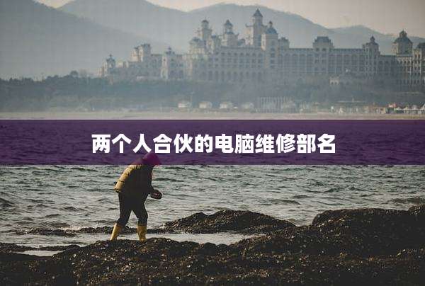 两个人合伙的电脑维修部名