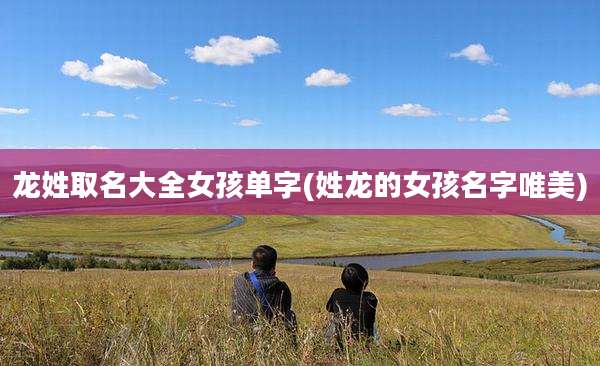 龙姓取名大全女孩单字(姓龙的女孩名字唯美)