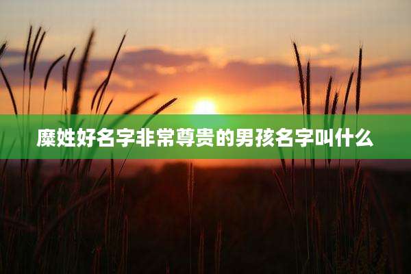 糜姓好名字非常尊贵的男孩名字叫什么