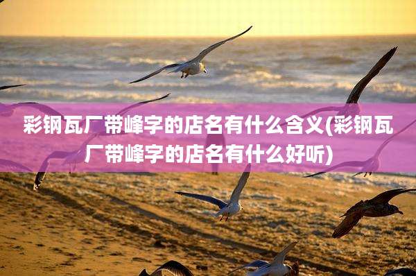 彩钢瓦厂带峰字的店名有什么含义(彩钢瓦厂带峰字的店名有什么好听)