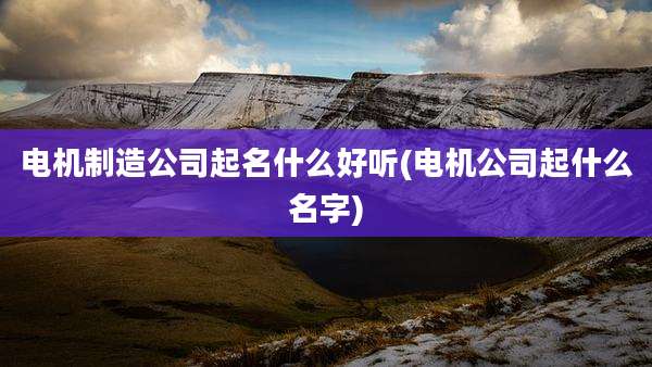 电机制造公司起名什么好听(电机公司起什么名字)