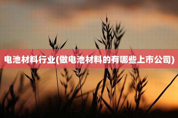 电池材料行业(做电池材料的有哪些上市公司)
