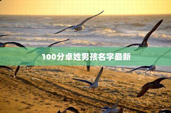 100分卓姓男孩名字最新