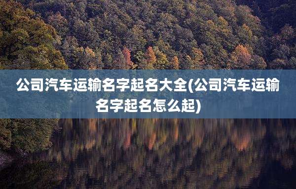公司汽车运输名字起名大全(公司汽车运输名字起名怎么起)