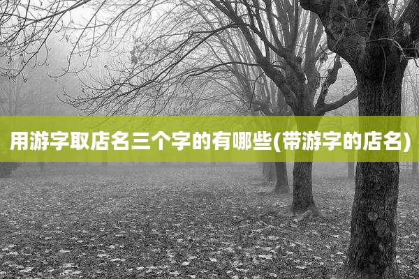 用游字取店名三个字的有哪些(带游字的店名)