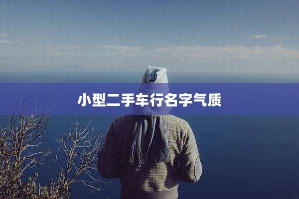 小型二手车行名字气质