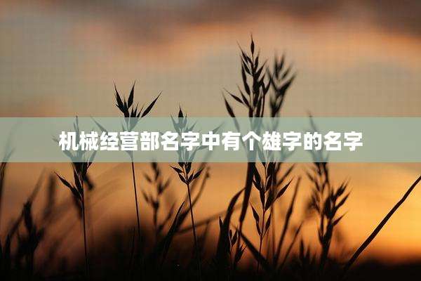 机械经营部名字中有个雄字的名字