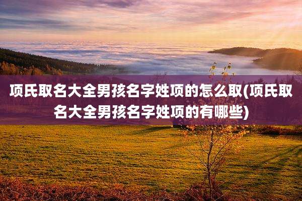 项氏取名大全男孩名字姓项的怎么取(项氏取名大全男孩名字姓项的有哪些)