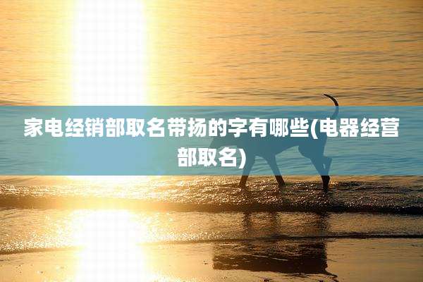 家电经销部取名带扬的字有哪些(电器经营部取名)