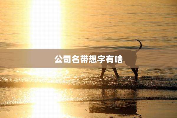 公司名带想字有啥