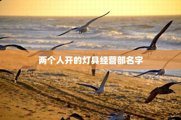 两个人开的灯具经营部名字